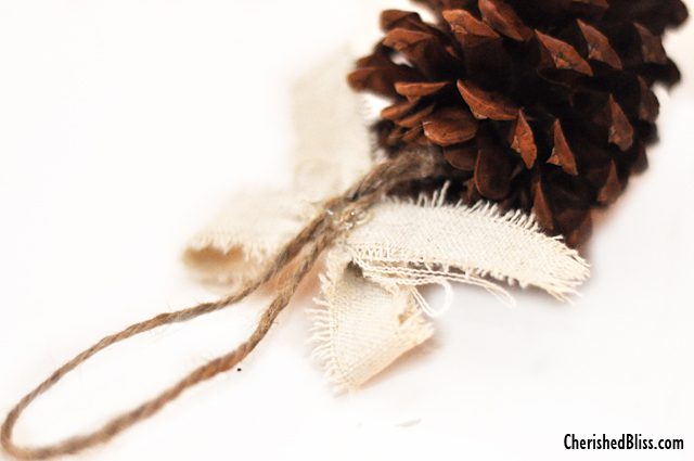 Make a simple Pine Cone Ornament using just pine cones and drop cloth! Perfect for your Rustic Decor