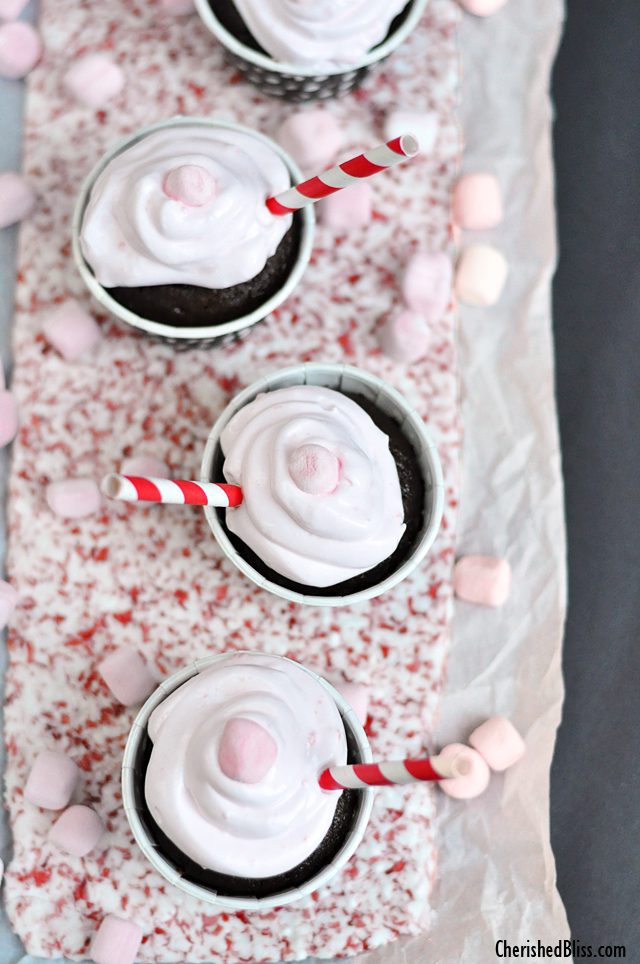 Make this Festive Crushed Peppermint Tray to display all your Holiday Baking! 