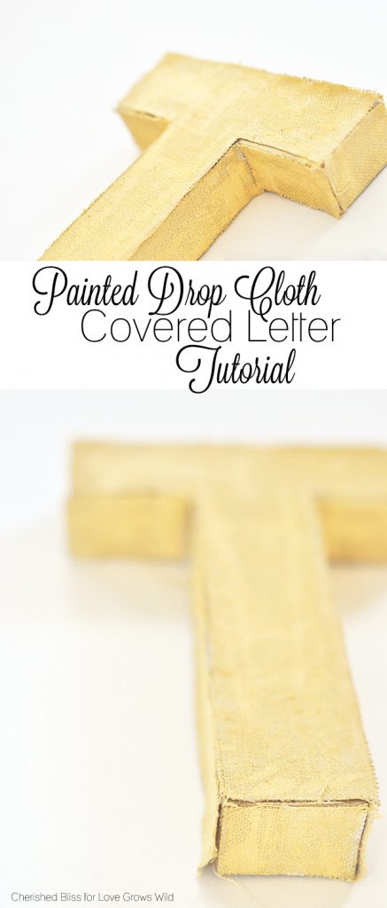 See how to make these textured Painted Drop Cloth Covered Letters. A great addition to your home decor!