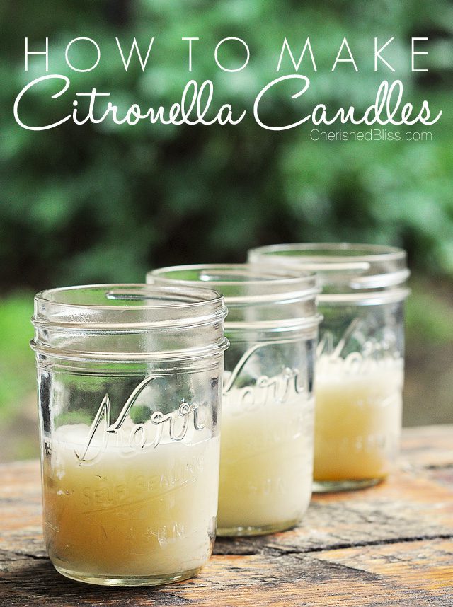 Find several Easy DIY Summer Projects, including these Citronella Candles to help keep the mosquitoes away! 