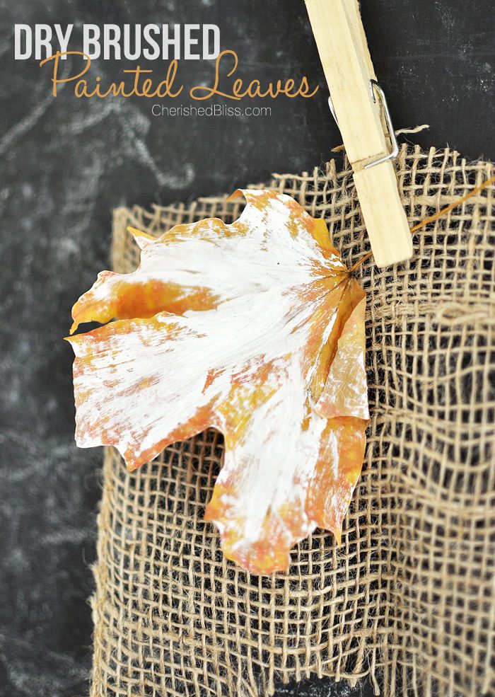 Make these easy Dry Brushed Painted Leaves to accent your fall decor! 