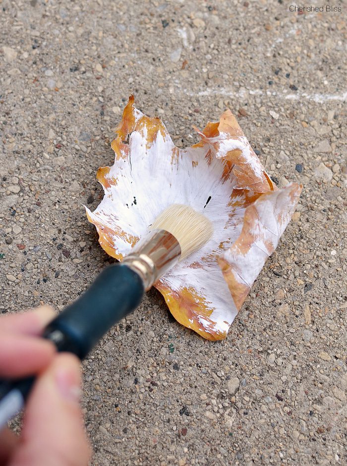 Make these easy Dry Brushed Painted Leaves to accent your fall decor! 