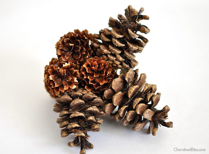 Create this Star Pine Cone Ornament from pine cones found in your very own yard!  via cherishedbliss.com