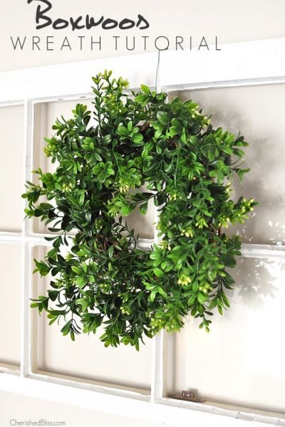 Add a beautiful wreath to your decor that will get you through ever season with this DIY Boxwood Wreath Tutorial via cherishedbliss.com