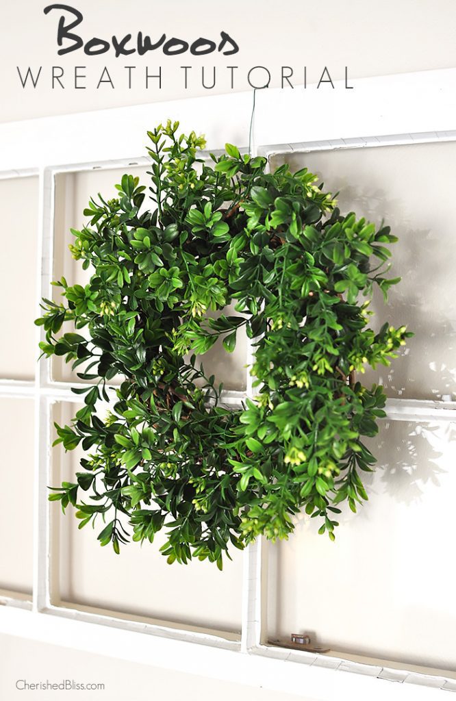 Add a beautiful wreath to your decor that will get you through ever season with this DIY Boxwood Wreath Tutorial via cherishedbliss.com 