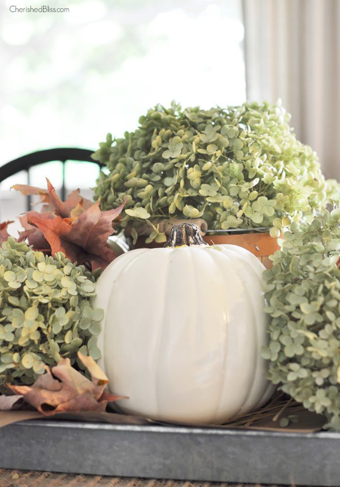 Transform your dining room table from boring to beautiful with this Simple Fall Centerpiece. Together these white pumpkins and dried hydrangeas will leave your Fall table looking gorgeous!