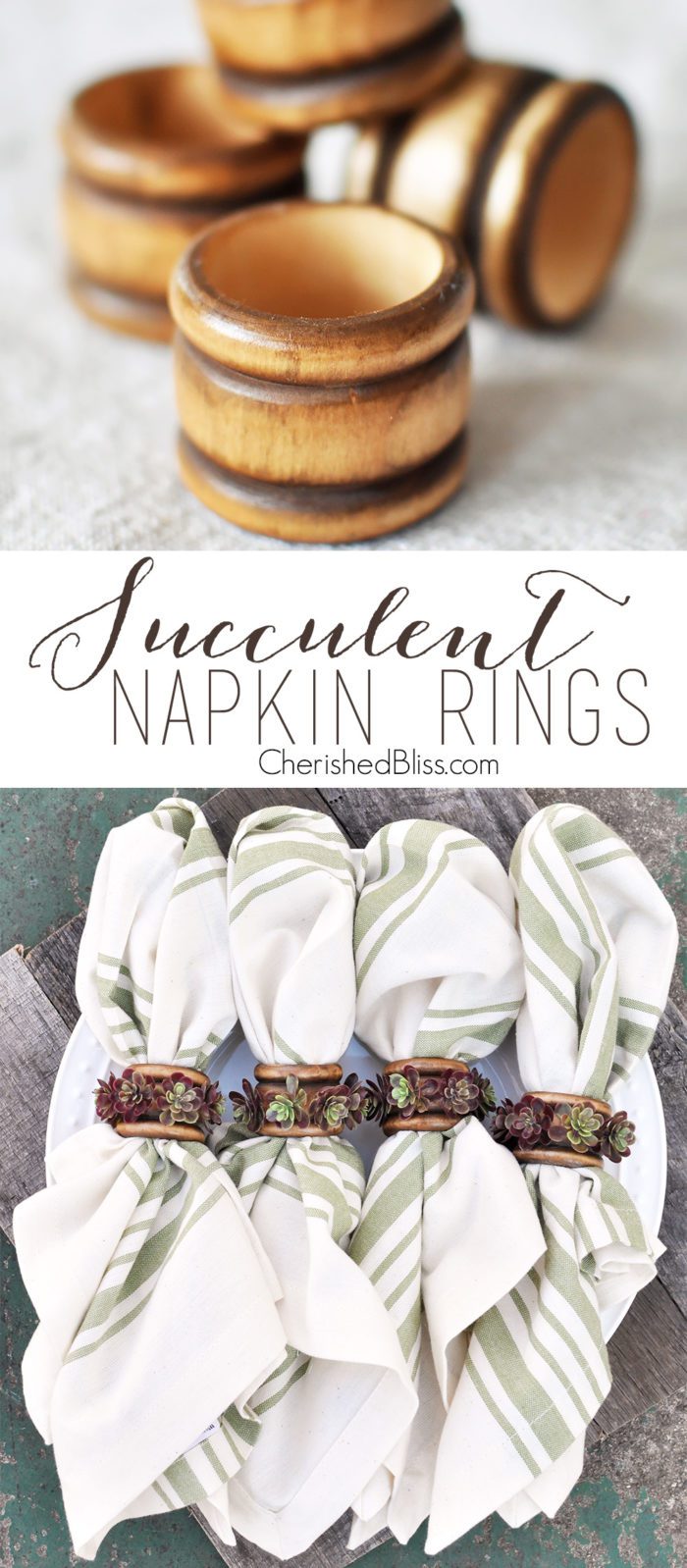 With just a few supplies you can create these beautiful succulent napkin rings. These are perfect for fall but easily transition through each season.