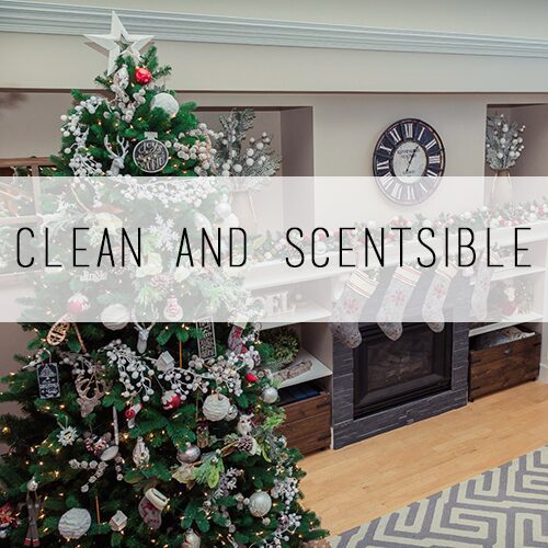 Clean and Scentsible