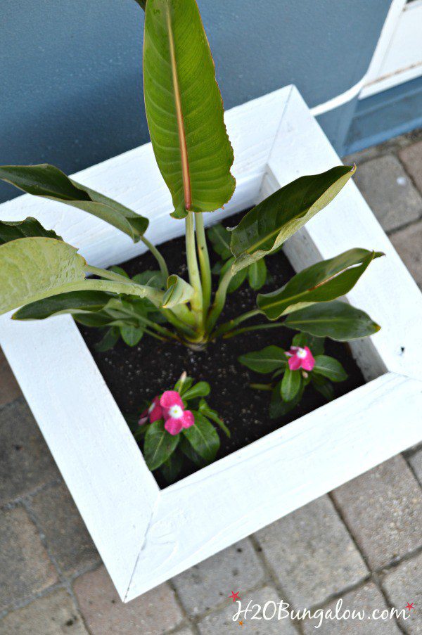 Build-a-spring-planter-box-H2OBungalow