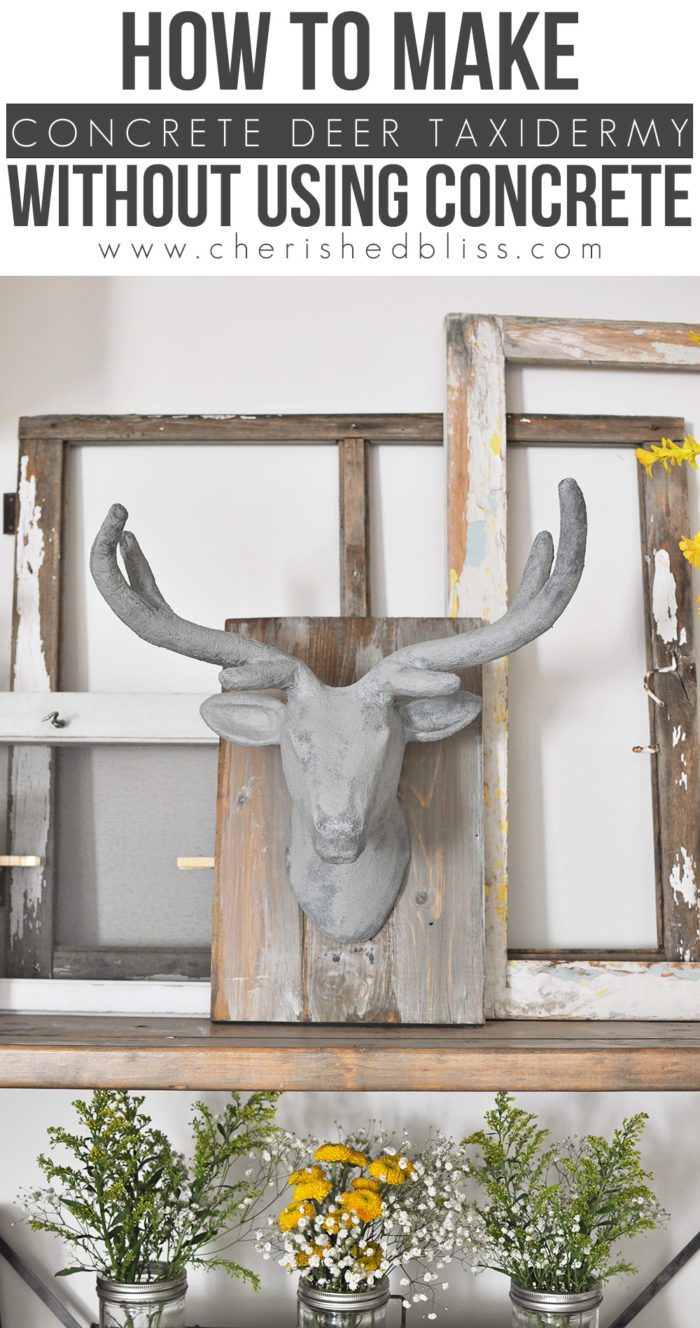 With this Concrete Deer Head Taxidermy tutorial you will learn how to make something look like concrete without using concrete!