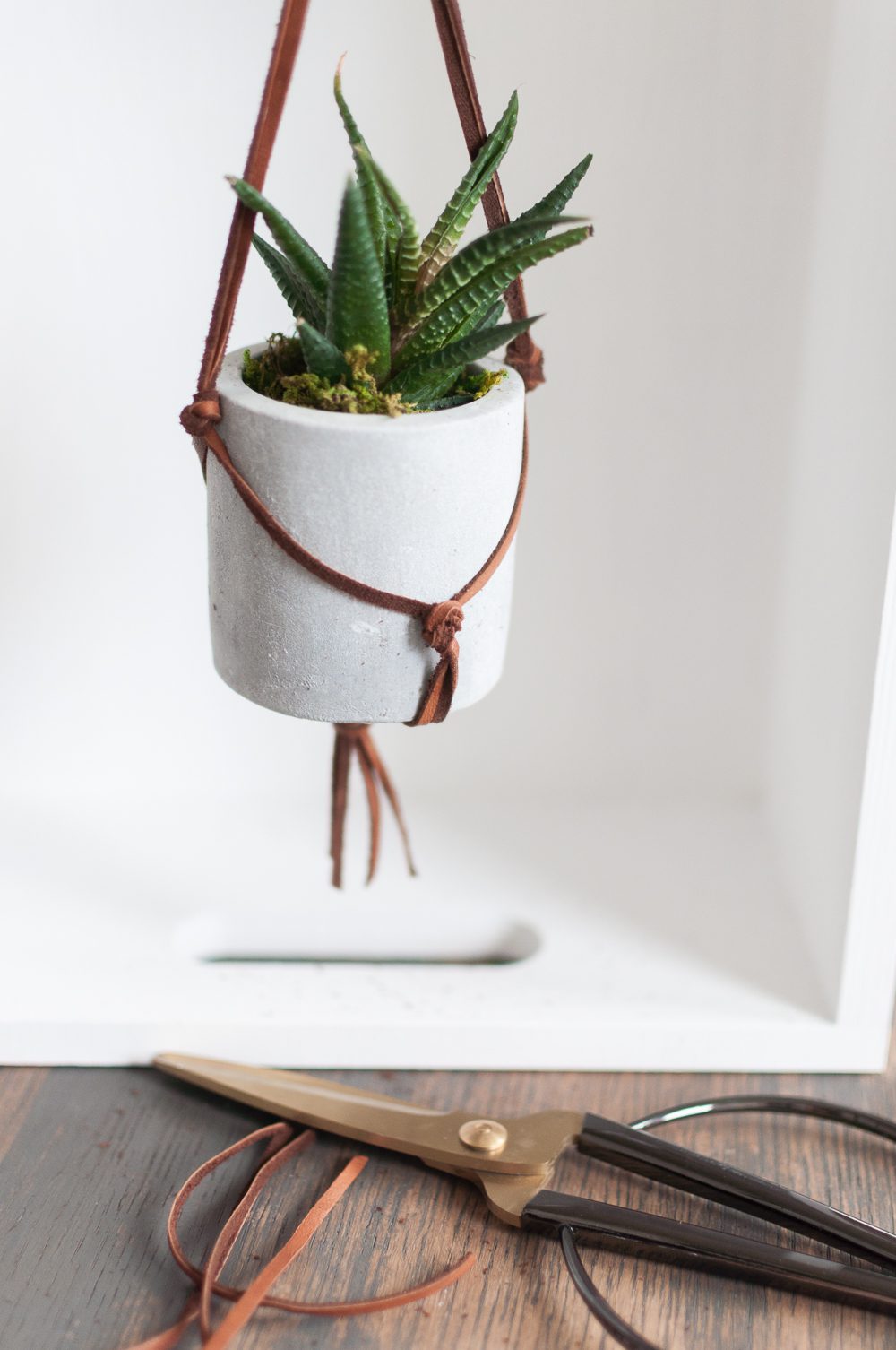 Follow this unique Leather Macrame Hanging Succulent Planter Tutorial to bring stylish natural elements into your home. Customize this Succulent Planter to fit any decor style!