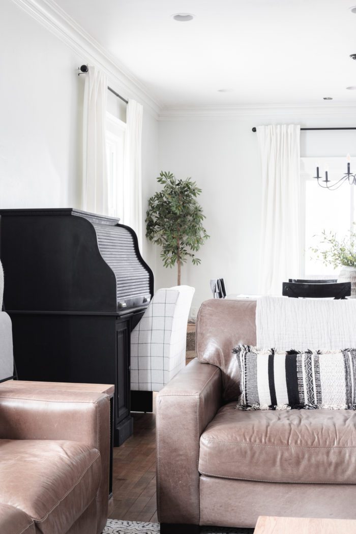 Leather Sofa and Chair. Spring Decor in Living Room. 
