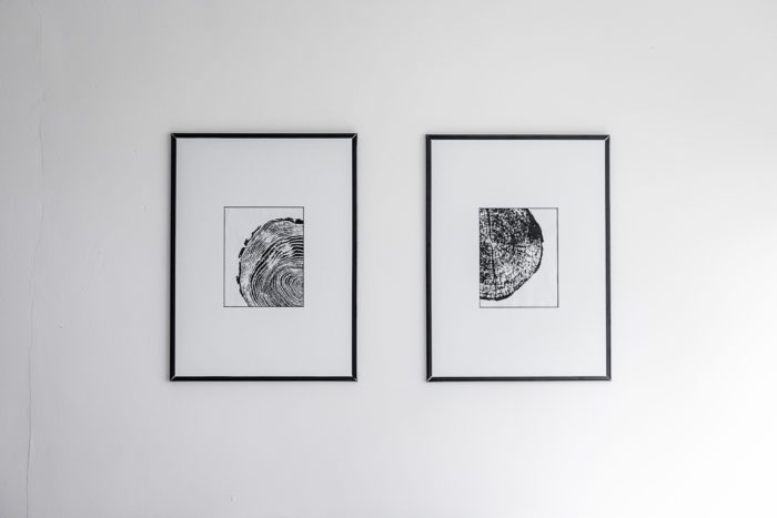 Free Prints - Black and White Art with Tree Rings 