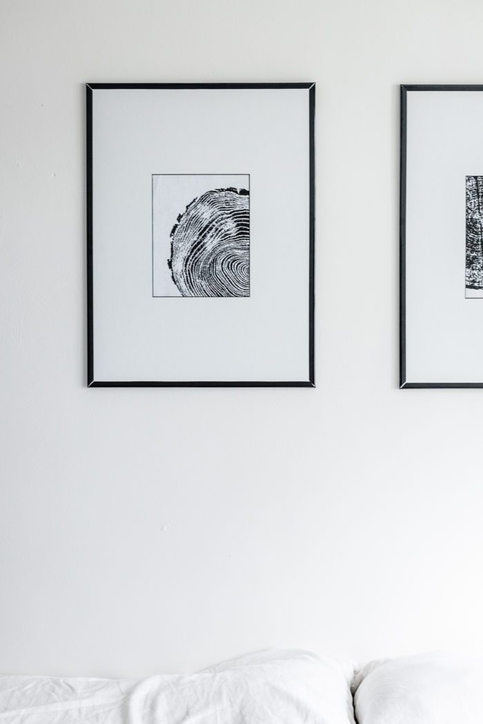 Black and White Tree Ring Art Framed on a budget. 