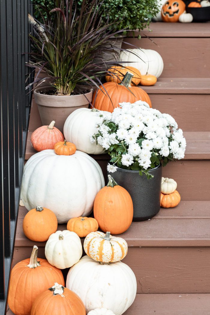 pumpkins and mums on front porch. 