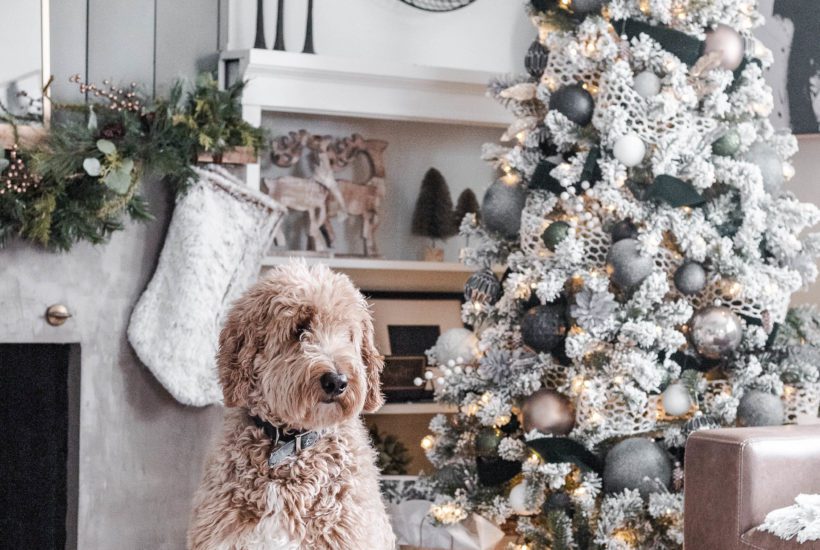 This Neutral, Modern Cozy Christmas Tree is the perfect way to bring the holidays into your home. Find out how to get this simple look!