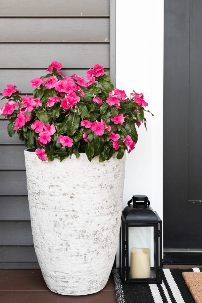 White Planter with pink summer flowers next to front door. 