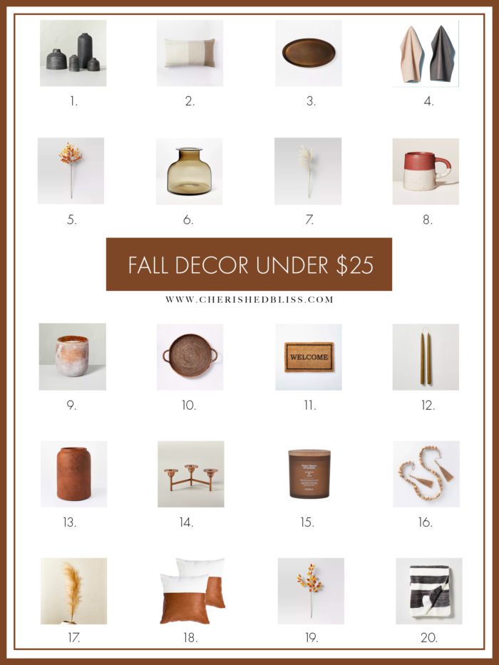 20 Fall Decor Items for under $25 to help get your home Fall-Ready