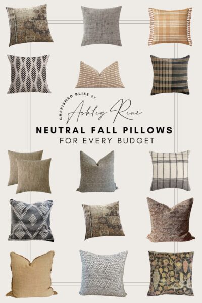 Looking for some simple ways to decorate for Fall with a subtle approach? Check out these 15 Beautiful Neutral Fall Pillows - all under $85!